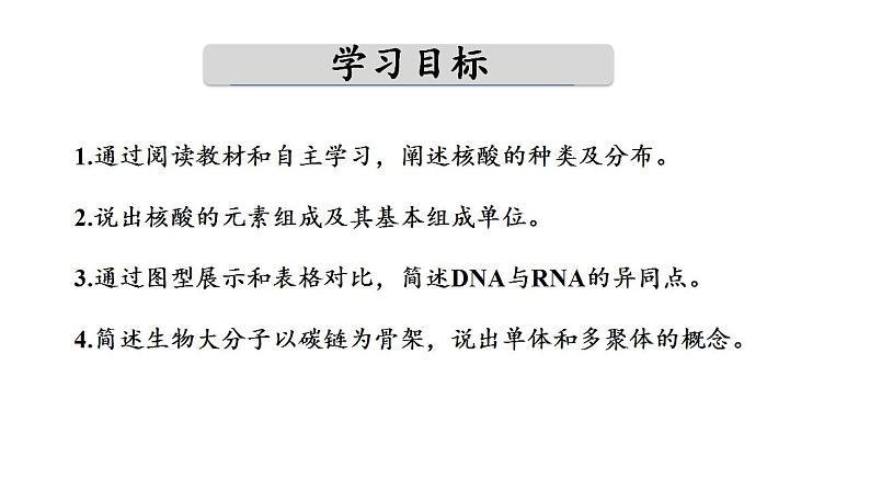 高中生物人教版必修一2.5 核酸是遗传信息的携带者课件04