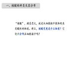 高中生物人教版必修一2.5 核酸是遗传信息的携带者课件