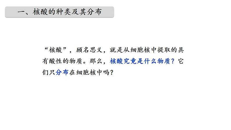 高中生物人教版必修一2.5 核酸是遗传信息的携带者课件05