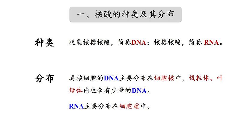 高中生物人教版必修一2.5 核酸是遗传信息的携带者课件06