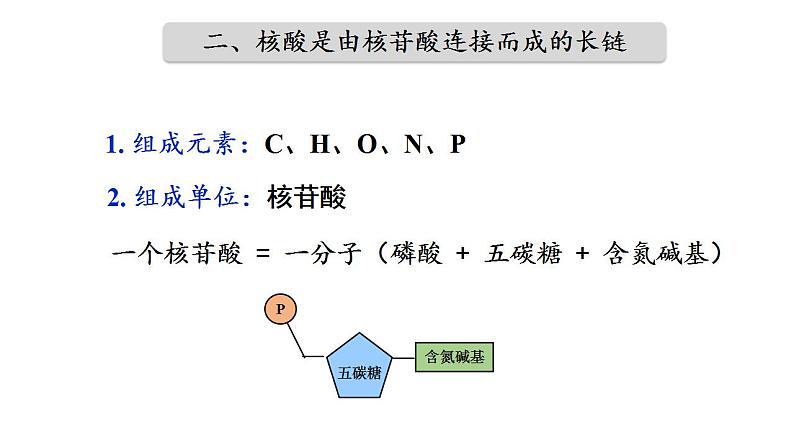 高中生物人教版必修一2.5 核酸是遗传信息的携带者课件07