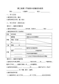 人教版 (2019)必修1《分子与细胞》第3节 细胞中的糖类和脂质学案设计