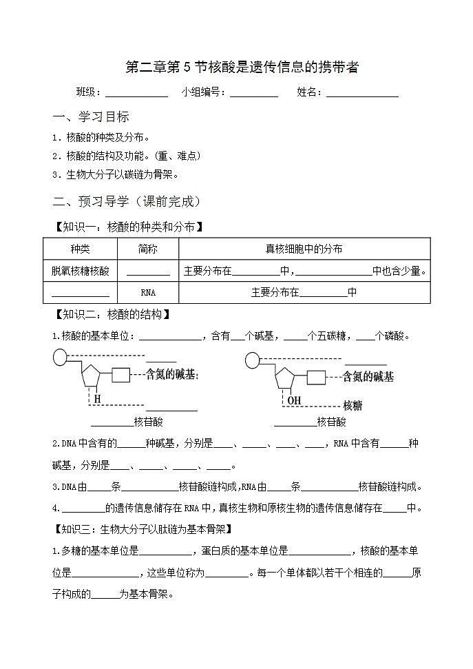 人教版生物必修一学案：第2章第5节《核酸是遗传信息的携带者》(含答案)01