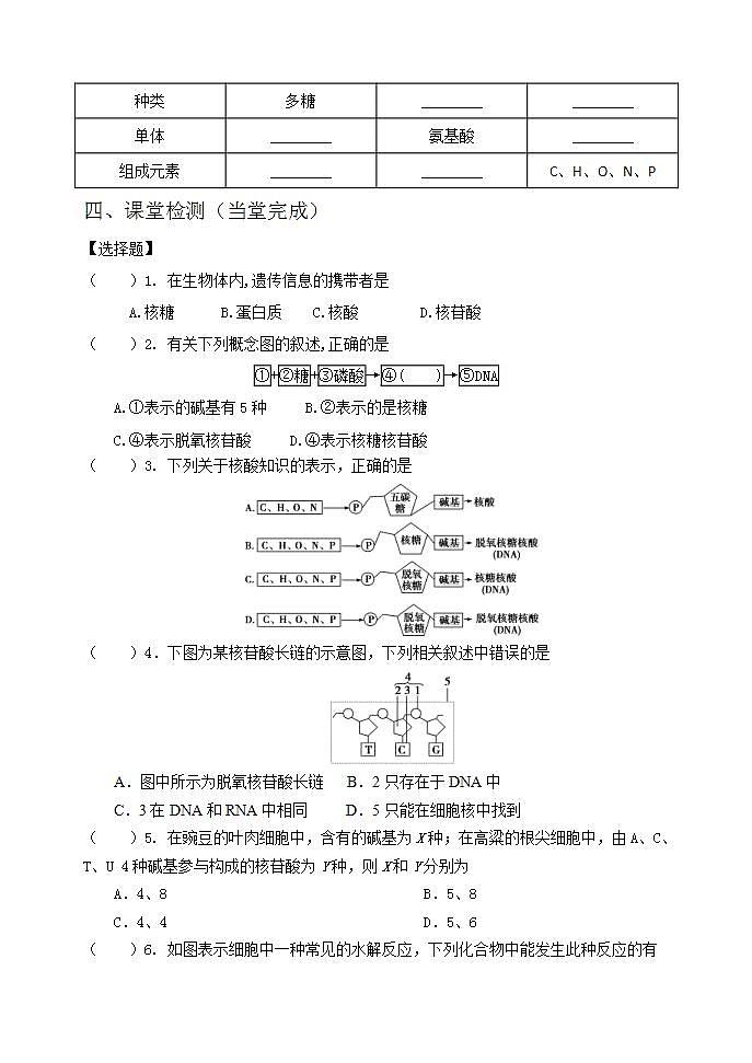 人教版生物必修一学案：第2章第5节《核酸是遗传信息的携带者》(含答案)03