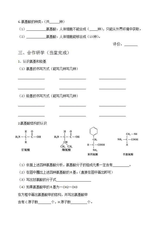 人教版生物必修一学案：第2章第4节《蛋白质是生命活动的主要承担者1》(含答案)02
