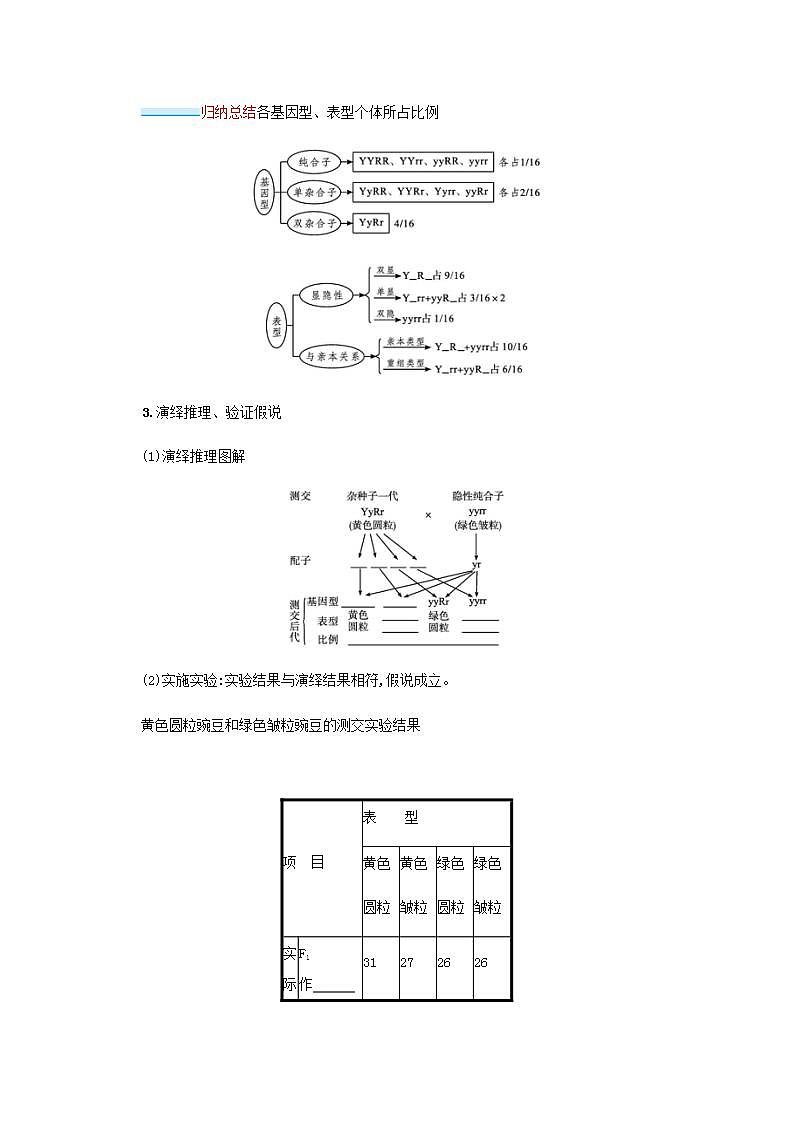 2022届高考生物一轮复习第6单元孟德尔遗传定律与伴性遗传第17讲第1课时两对相对性状遗传实验分析及相关结论学案新人教版第3页