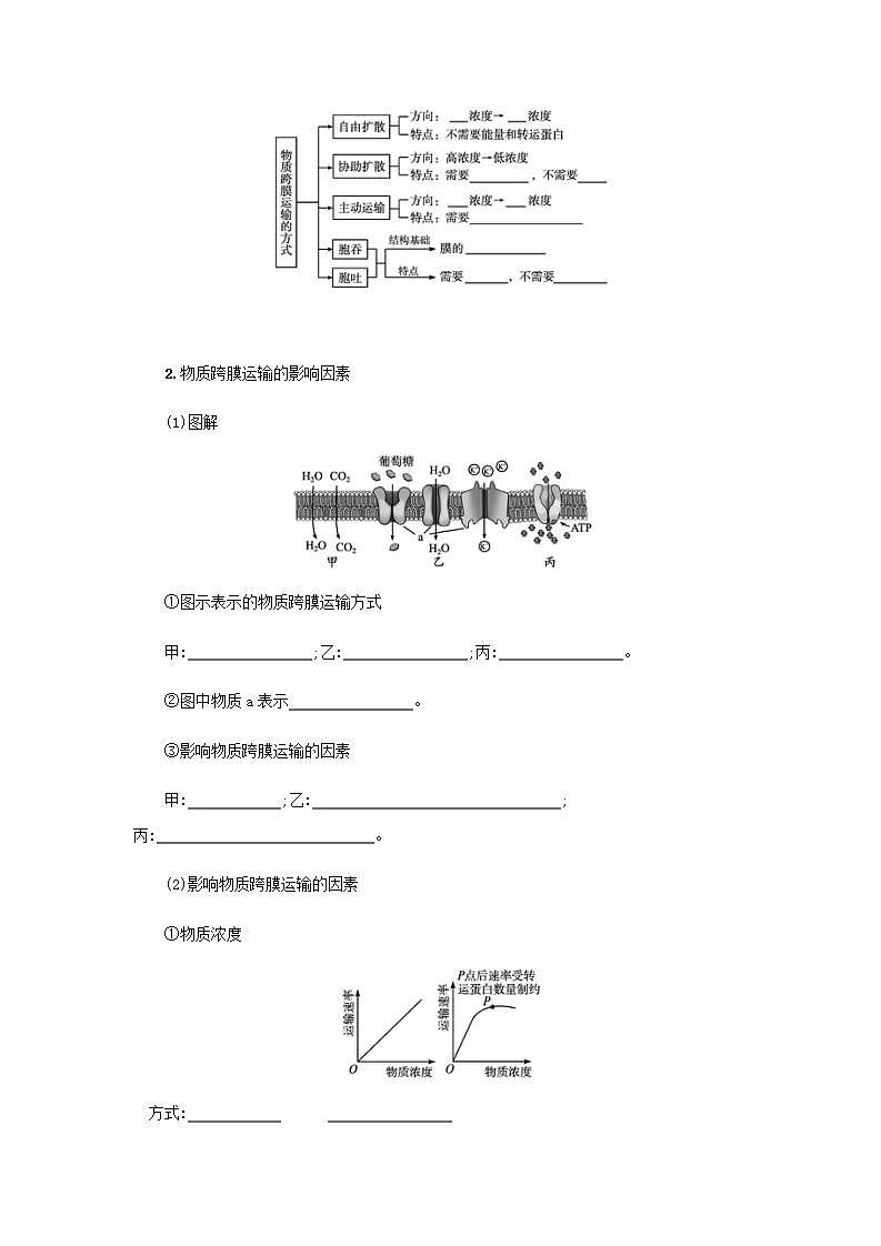 2022届高考生物一轮复习第3单元细胞的代谢第6讲物质跨膜运输的方式学案人教版第2页