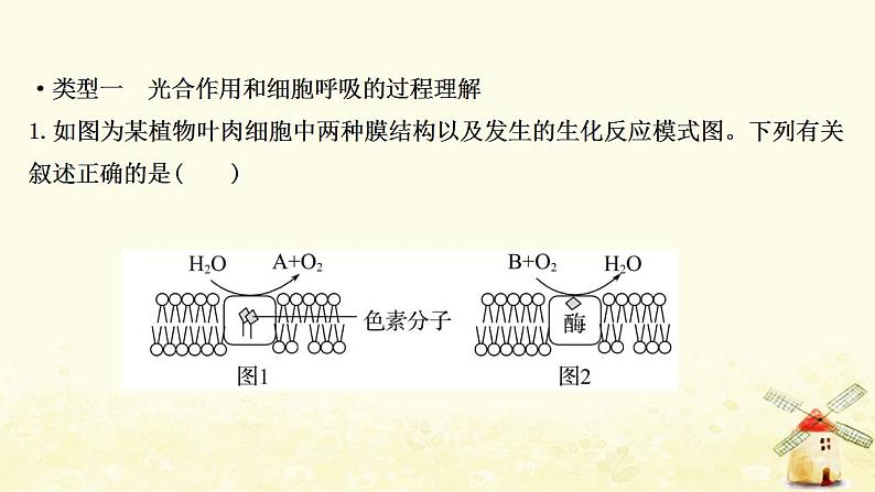 高中生物核心素养培优练四科学思维__细胞呼吸和光合作用的综合考查课件新人教版必修102