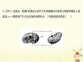 高中生物核心素养培优练四科学思维__细胞呼吸和光合作用的综合考查课件新人教版必修1