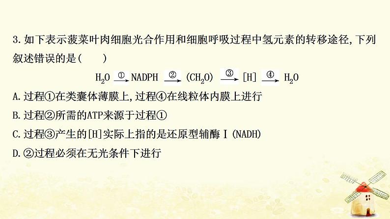 高中生物核心素养培优练四科学思维__细胞呼吸和光合作用的综合考查课件新人教版必修108