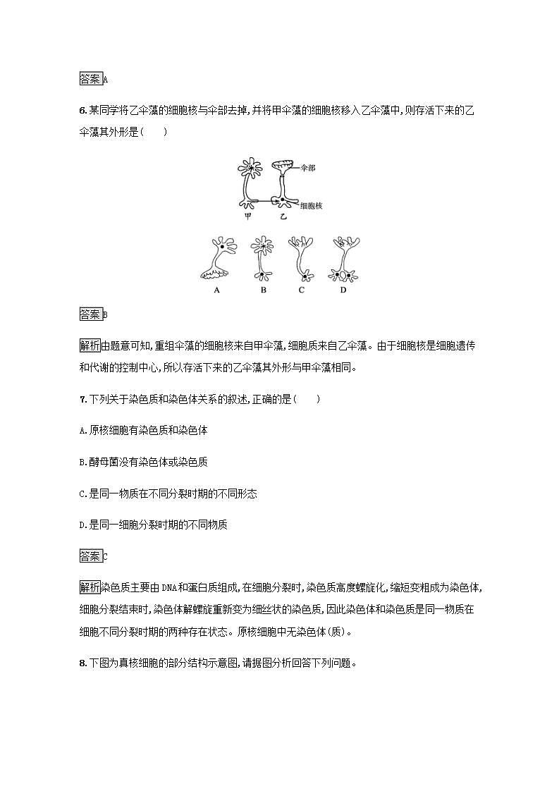 高中生物第3章细胞的基本结构课件+课后练习+过关检测打包8套新人教版必修103