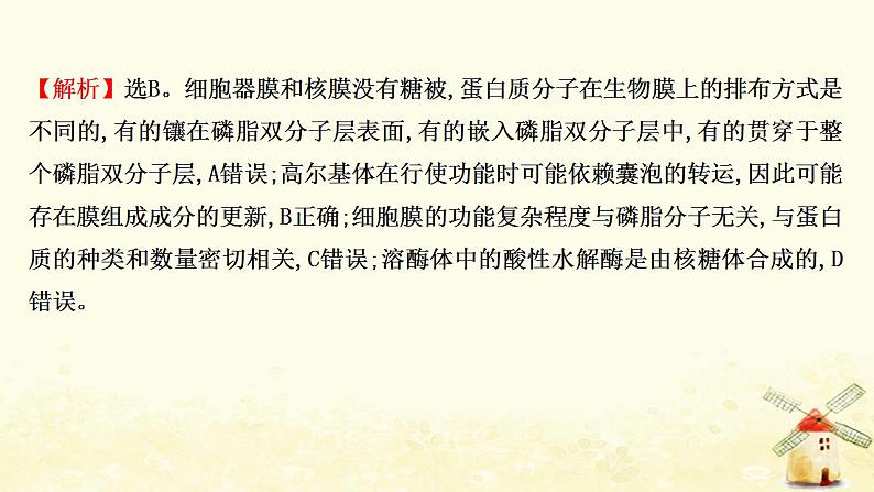 高中生物核心素养培优练二生命观念__细胞器及其生物膜系统课件新人教版必修104