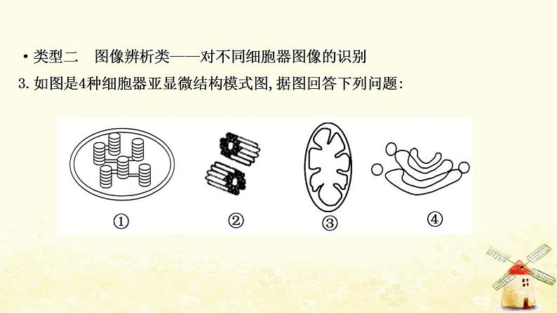 高中生物核心素养培优练二生命观念__细胞器及其生物膜系统课件新人教版必修105