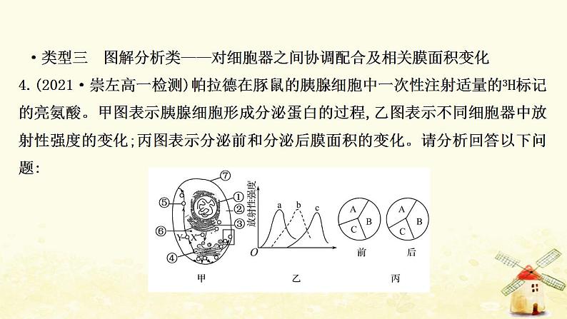 高中生物核心素养培优练二生命观念__细胞器及其生物膜系统课件新人教版必修108