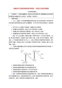 2022版高考生物一轮复习第4单元细胞的生命历程大概念升华课必修概念2学案新人教版