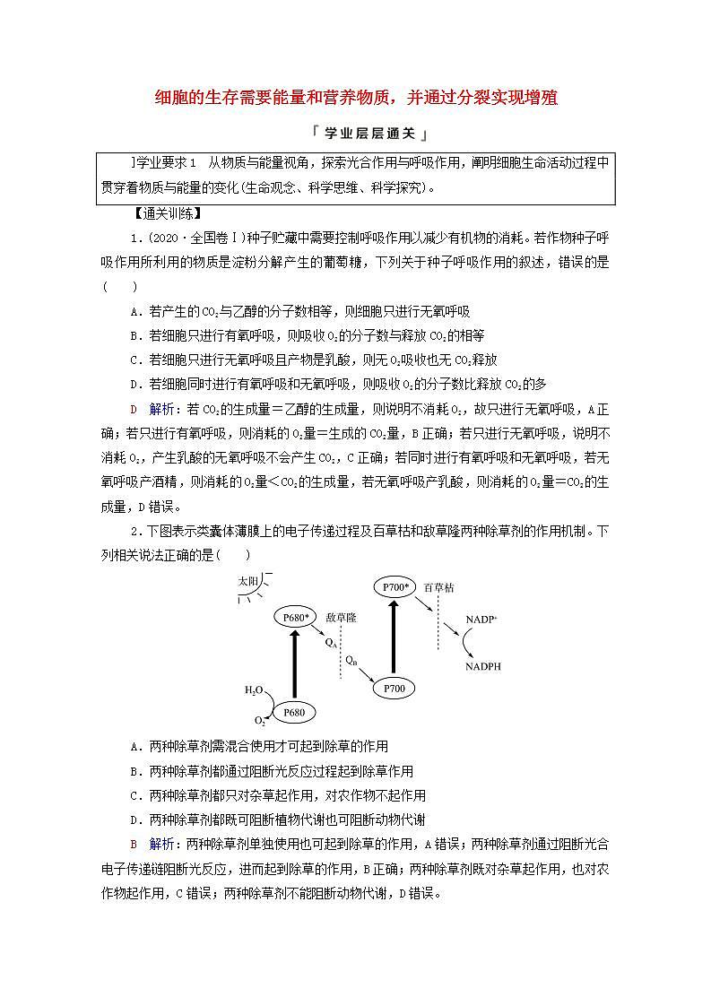 2022版高考生物一轮复习第4单元细胞的生命历程大概念升华课必修概念2学案新人教版第1页