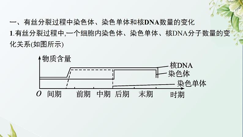 高中生物第6章细胞的生命历程课件+课后练习+过关检测打包8套新人教版必修106