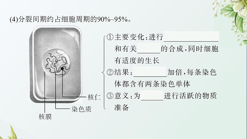 高中生物第6章细胞的生命历程课件+课后练习+过关检测打包8套新人教版必修107