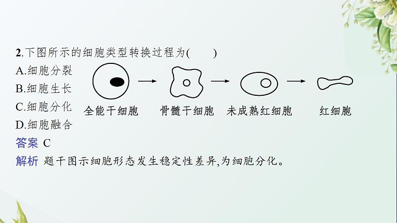 高中生物第6章细胞的生命历程课件+课后练习+过关检测打包8套新人教版必修108