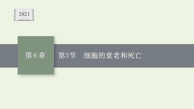 高中生物第6章细胞的生命历程课件+课后练习+过关检测打包8套新人教版必修101