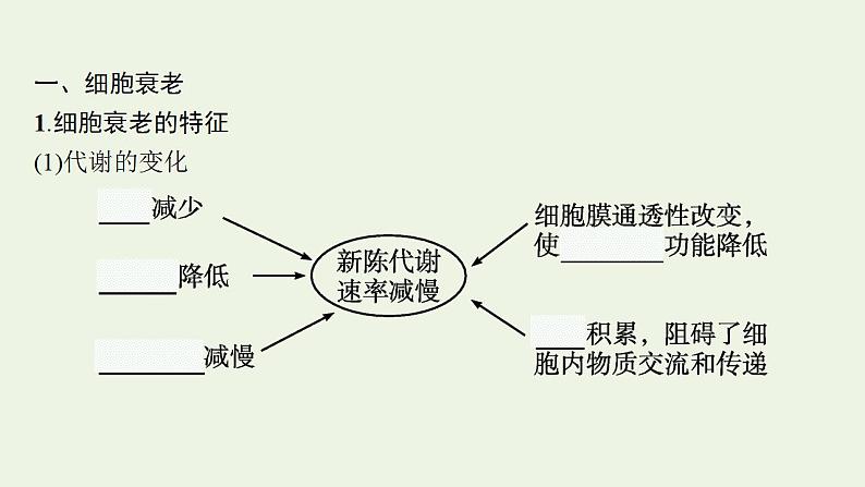 高中生物第6章细胞的生命历程课件+课后练习+过关检测打包8套新人教版必修105