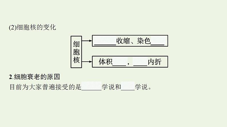 高中生物第6章细胞的生命历程课件+课后练习+过关检测打包8套新人教版必修106