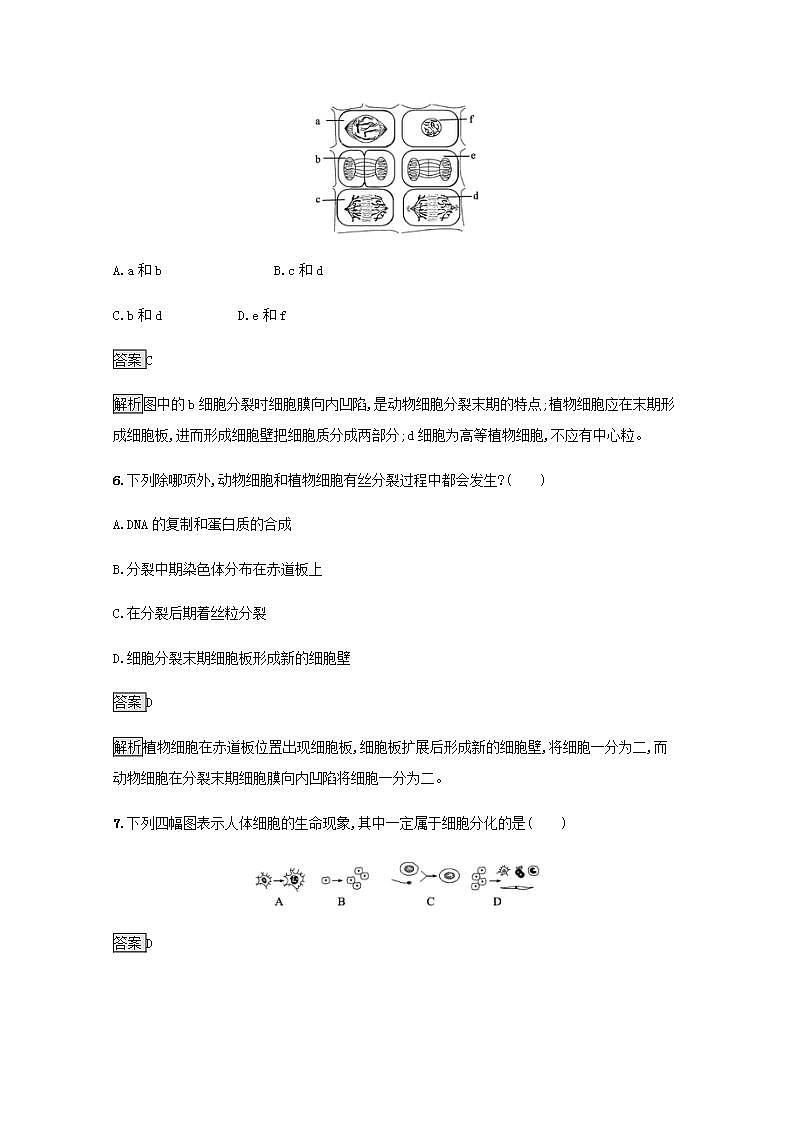 高中生物第6章细胞的生命历程课件+课后练习+过关检测打包8套新人教版必修103
