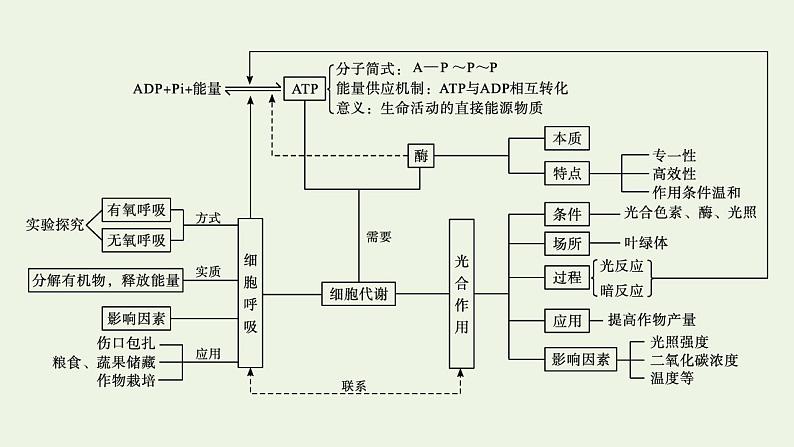 高中生物第5章细胞的能量供应和利用课件+课后练习+过关检测打包14套新人教版必修104