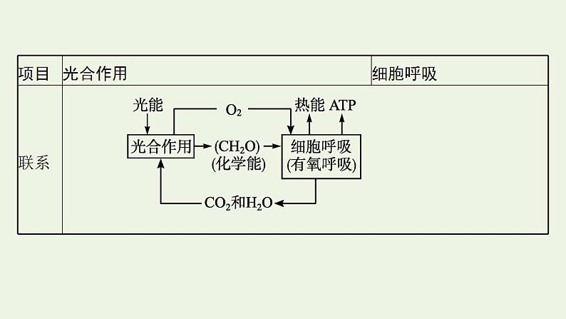 高中生物第5章细胞的能量供应和利用课件+课后练习+过关检测打包14套新人教版必修107