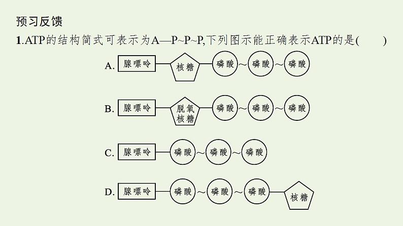 高中生物第5章细胞的能量供应和利用课件+课后练习+过关检测打包14套新人教版必修106