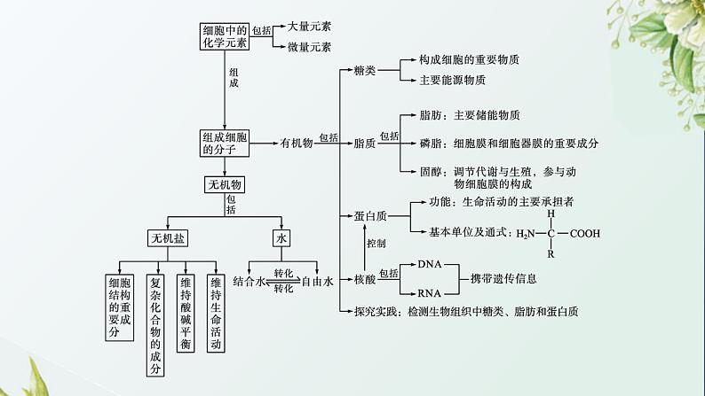 高中生物第2章组成细胞的分子课件+课后练习+过关检测打包11套新人教版必修104