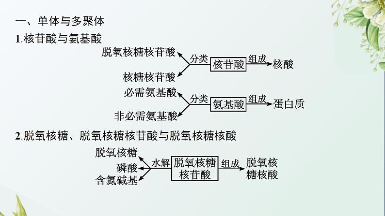 高中生物第2章组成细胞的分子课件+课后练习+过关检测打包11套新人教版必修106