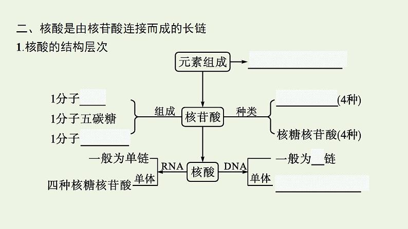 高中生物第2章组成细胞的分子课件+课后练习+过关检测打包11套新人教版必修106