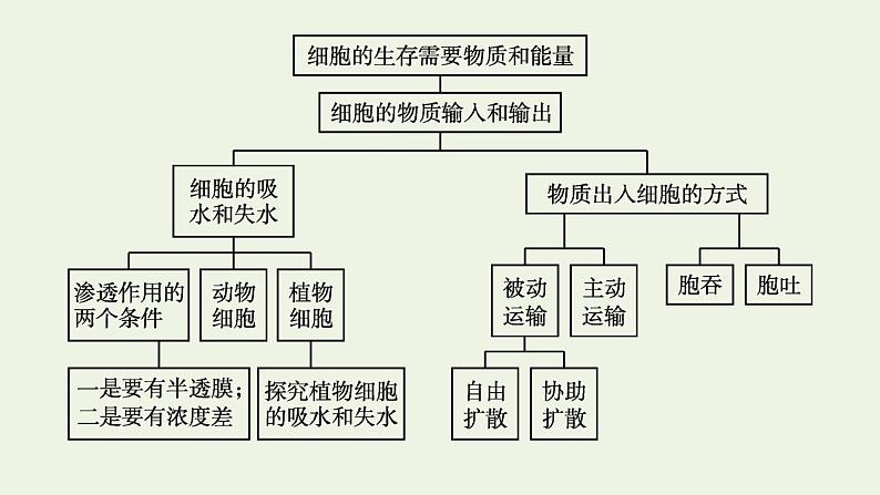 高中生物第4章细胞的物质输入和输出课件+课后练习+过关检测打包6套新人教版必修104