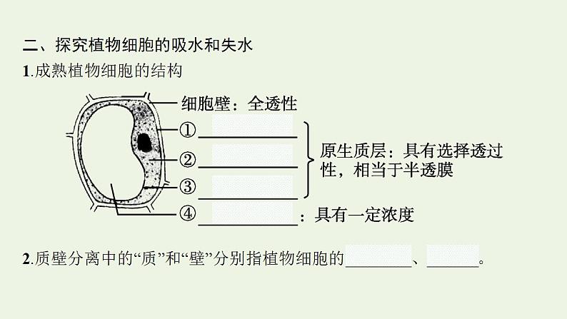 高中生物第4章细胞的物质输入和输出课件+课后练习+过关检测打包6套新人教版必修108