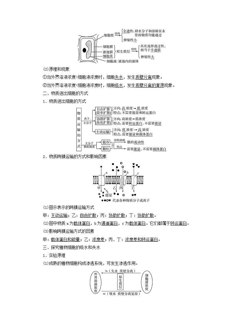 2022版高考生物一轮复习第2单元细胞的基本结构与物质运输第6课细胞的物质输入和输出学案新人教版第2页