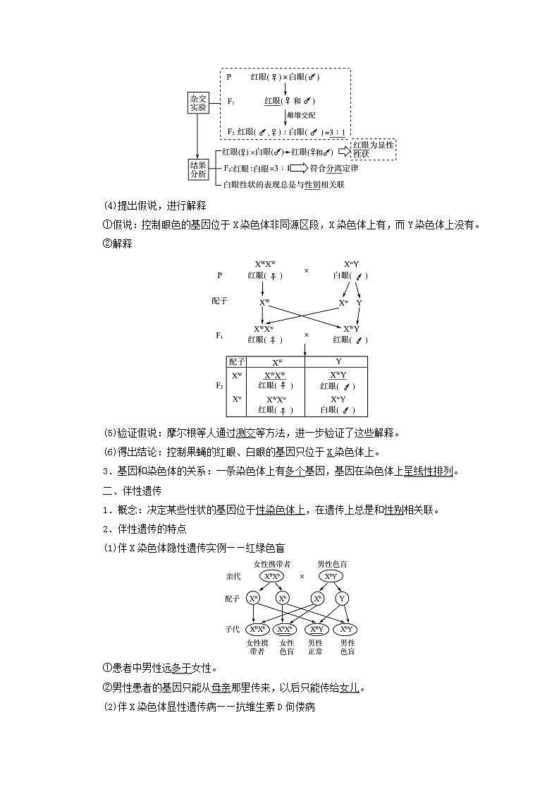 2022版高考生物一轮复习第5单元遗传的基本规律与伴性遗传第15课基因在染色体上伴性遗传和人类遗传病学案新人教版第2页
