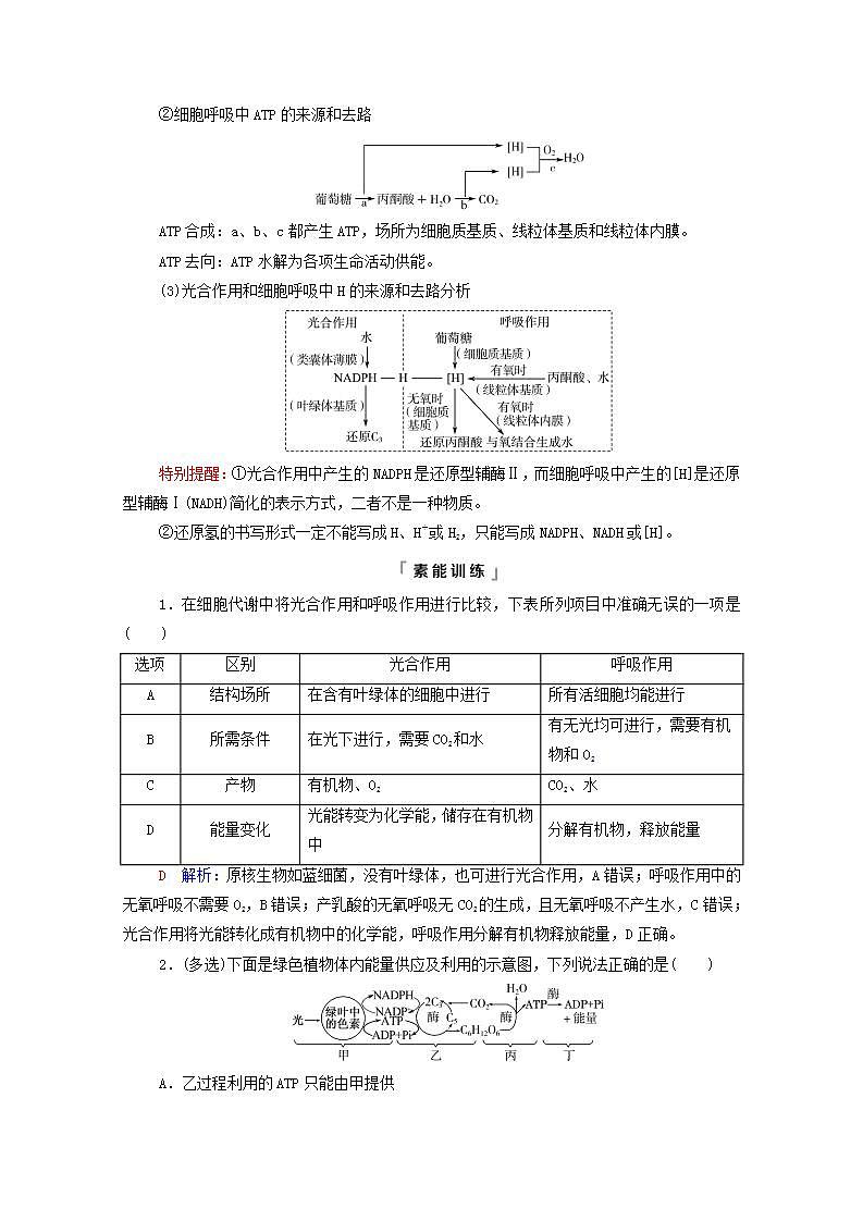 2022版高考生物一轮复习第3单元细胞的能量供应和利用高频考点进阶课2光合作用和细胞呼吸的综合应用学案新人教版第3页