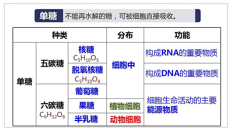 2021——2022学年高一上学期 人教版（第二章第三节细胞中的糖类和脂质  课件 （40张PPT）05