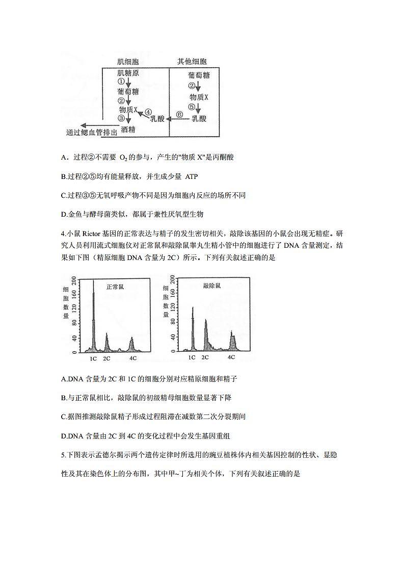 2021届江苏省常熟市高三上学期阶段性抽测二生物试题 PDF版02