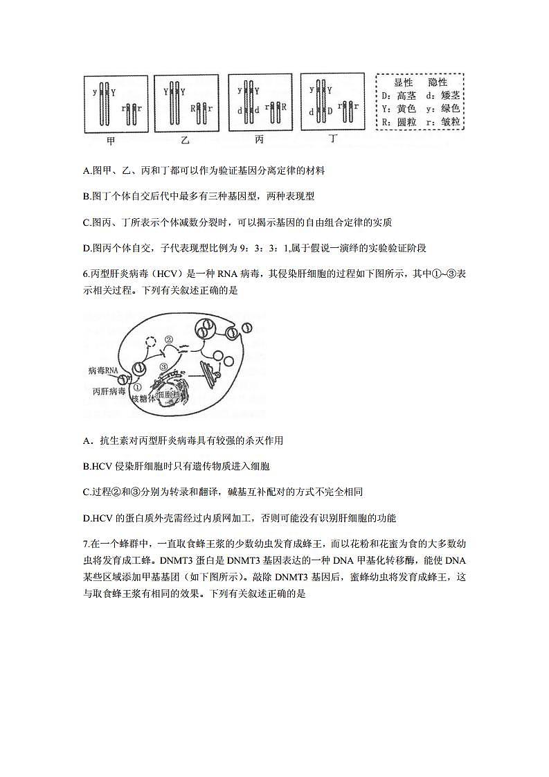 2021届江苏省常熟市高三上学期阶段性抽测二生物试题 PDF版03