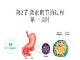 2021-2022学年高二上学期生物人教版选择性3.2 激素调节的过程 第一课时课件（19张PPT）