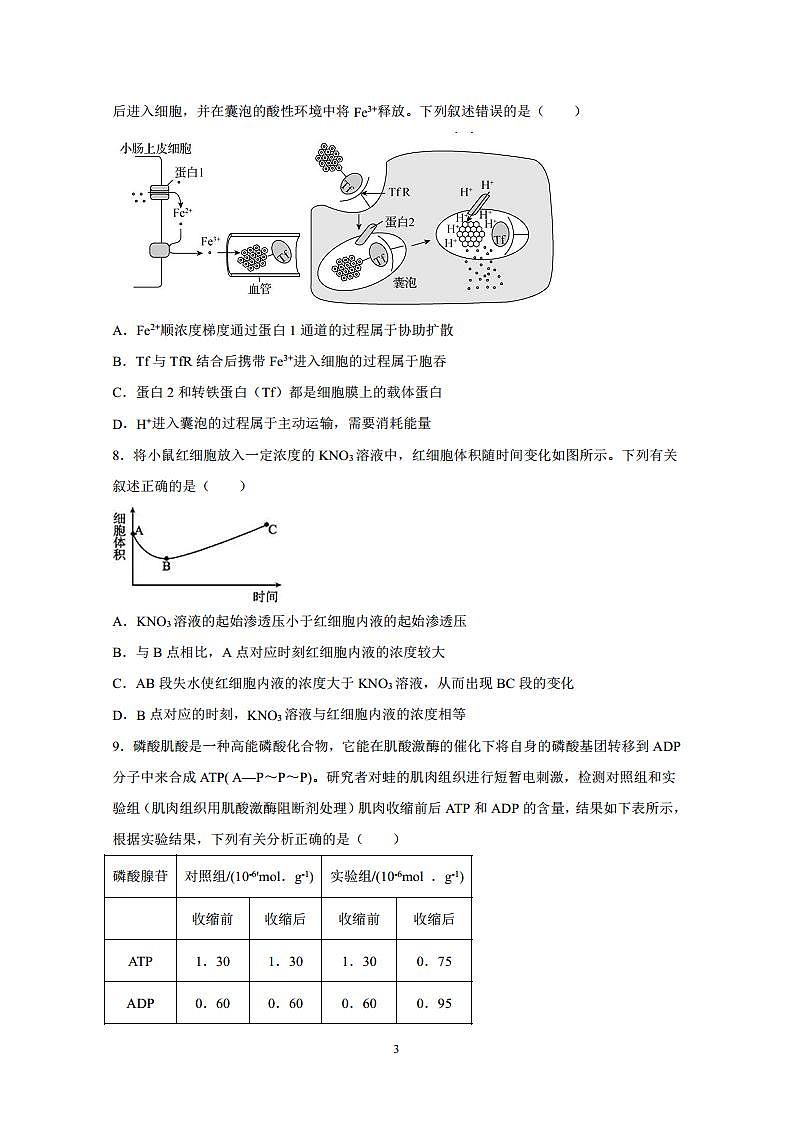 2022届山东省潍坊临朐县重点中学高三上学期9月摸底考试生物试题 PDF版03