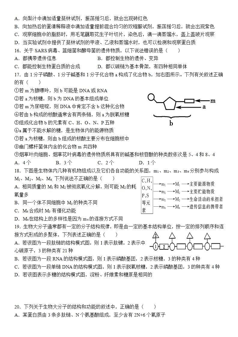 2021-2022学年河南省洛阳市第一高级中学高一上学期9月月考生物试题第3页