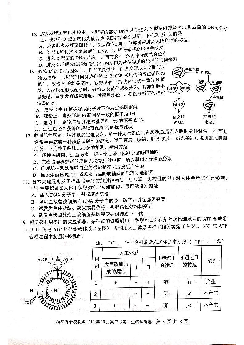 2020届浙江省十校联盟高三10月联考生物试题 PDF版03