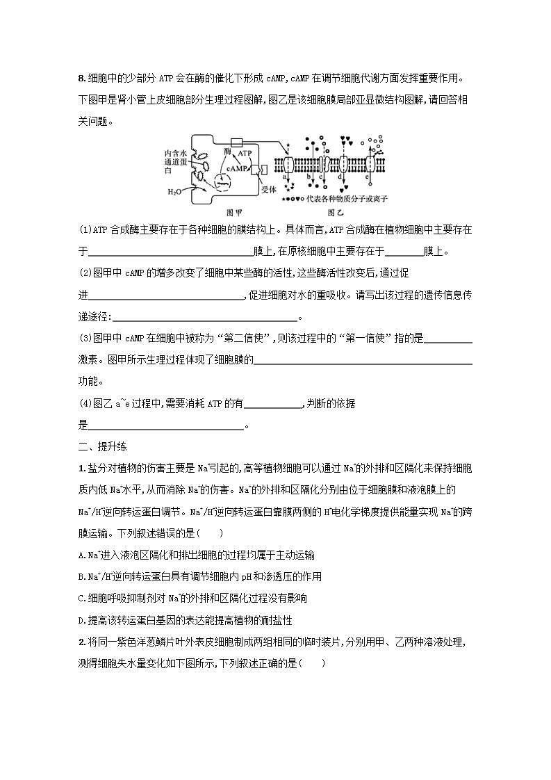 2022高考生物一轮复习课时练6物质跨膜运输的方式含解析新人教版第3页