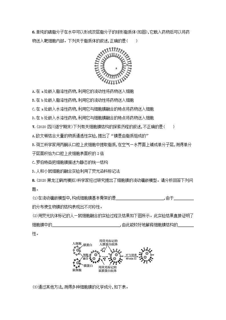 2022高考生物一轮复习课时练4细胞膜和细胞核含解析新人教版第2页