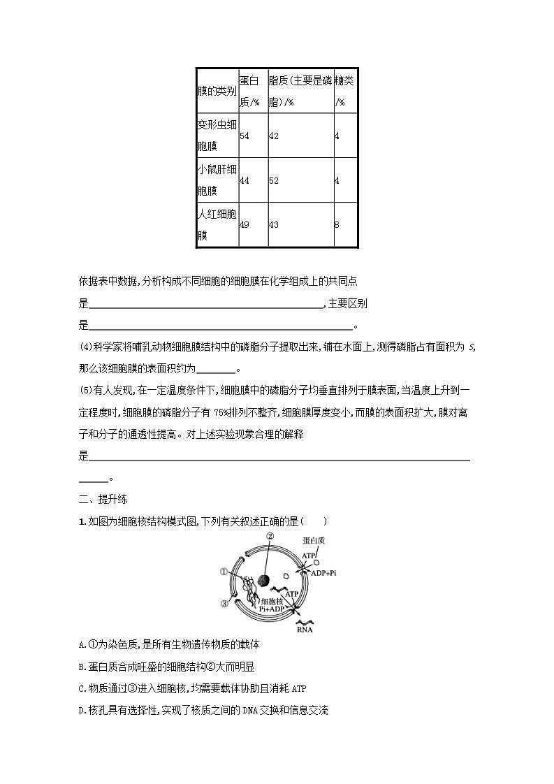 2022高考生物一轮复习课时练4细胞膜和细胞核含解析新人教版第3页