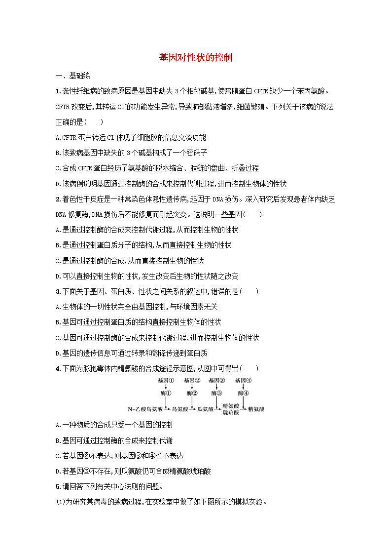 2022高考生物一轮复习课时练18基因对性状的控制含解析新人教版第1页