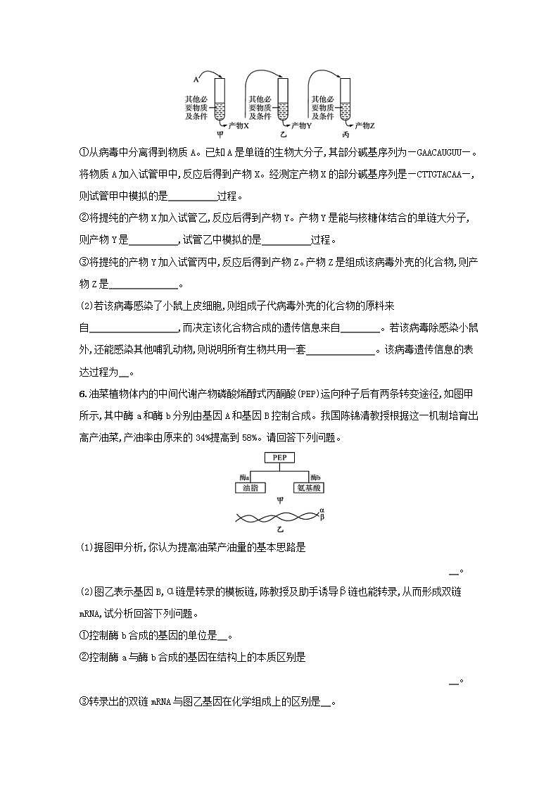 2022高考生物一轮复习课时练18基因对性状的控制含解析新人教版第2页